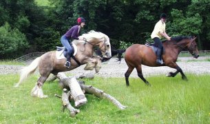 Brookfield, Powys, Wales