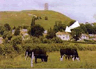 Little Orchard, Glastonbury, Somerset