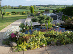 Ivytree Bed & Breakfast