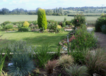 Ivytree Bed & Breakfast